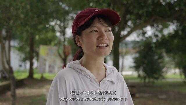 Shards Reborn — full version